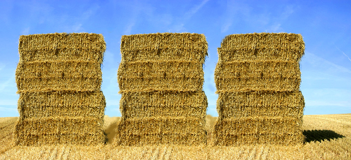A Questions Framework can help ensure your're looking in the right Haystack
